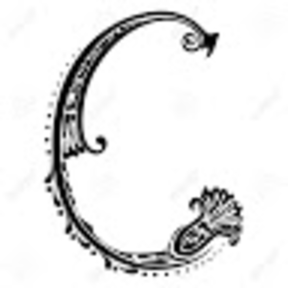 Meet your Posher, Cassie